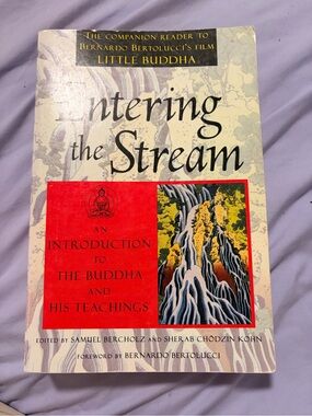 Entering the Stream — Introduction to the Buddha (Paperback)